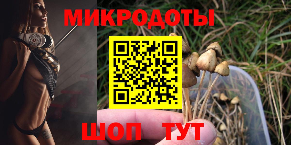 Галлюциногенные грибы мицелий Строитель