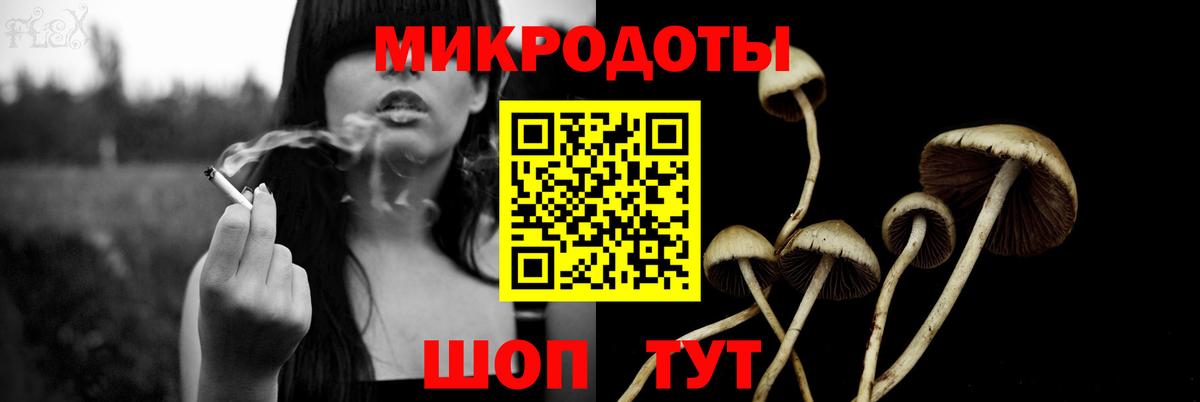 Псилоцибиновые грибы GOLDEN TEACHER  Вход с VPN  где купить   Строитель 
